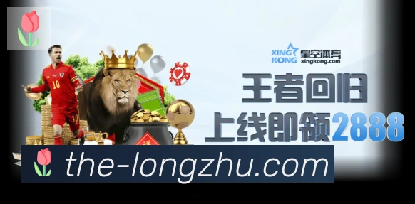 龙珠直播荣誉